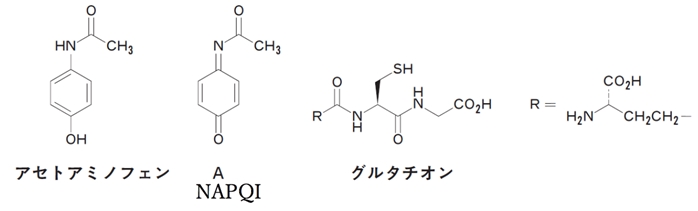 アセトアミノフェン代謝物 グルタチオン付加,機構 102回薬剤師国家試験問209